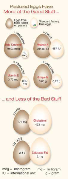 Pasture-raised eggs have more good stuff and less of the bad stuff.
