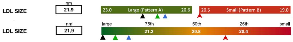 LDL Size and Pattern Grouping - Large Pattern A & Small Pattern B